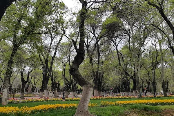 Büyükşehir Gaziantep Uzay Parkı - Resim 15