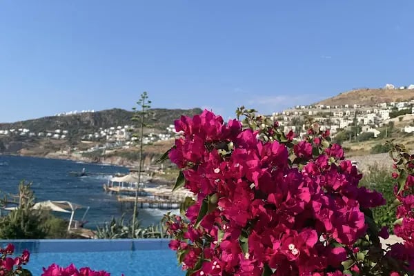 Nef Reserve Yalıkavak - Resim 10