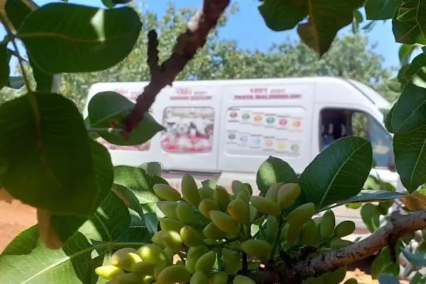 KARDEŞLER ELEKTRİK &amp; AVİZE VE AYDINLATMA NİZİP - Resim 19