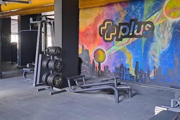 Fitbull Gym Plus - Resim 5