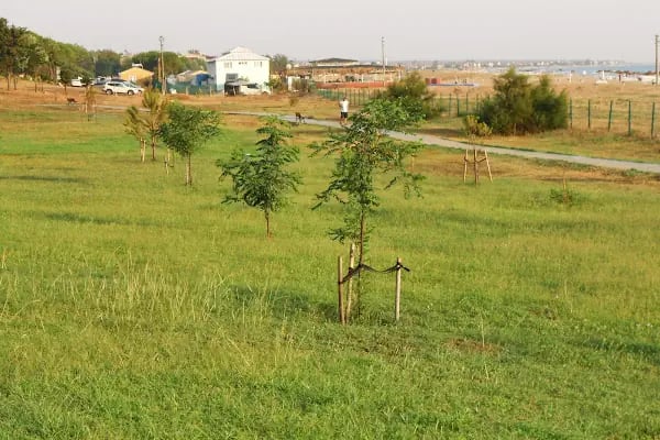 Trakya Üniversitesi Eğitim Ve Dinlenme Tesisleri - Resim 9