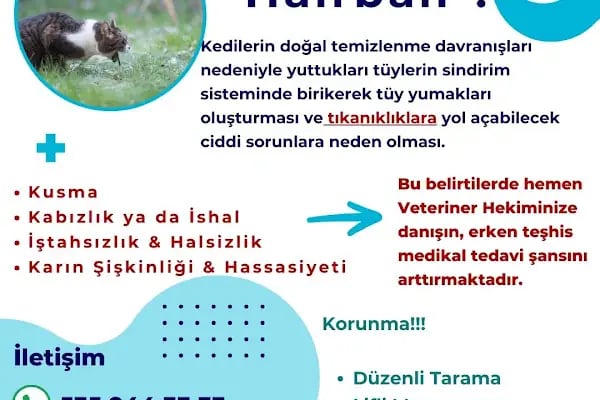 Ataşehir Atapark Veteriner Kliniği - Resim 11