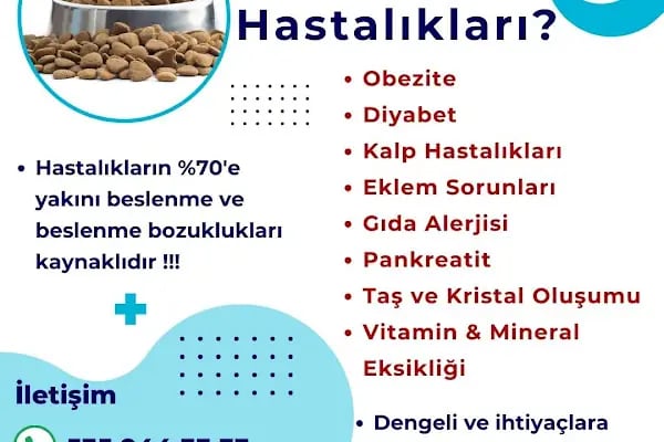 Ataşehir Atapark Veteriner Kliniği - Resim 10