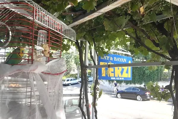 BALGAT YENİSOY TERZİ BAY BAYAN - Resim 2