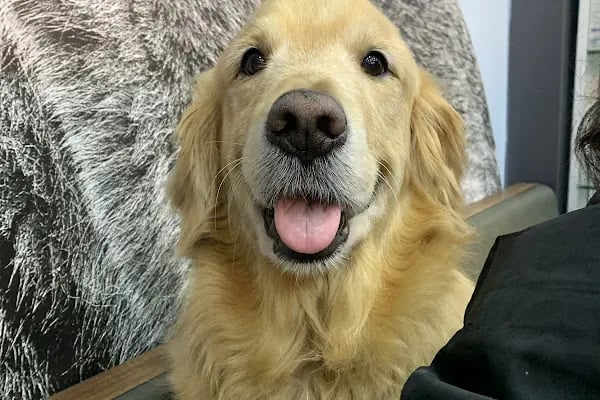 Vet-Ce Veteriner Kliniği - Resim 3