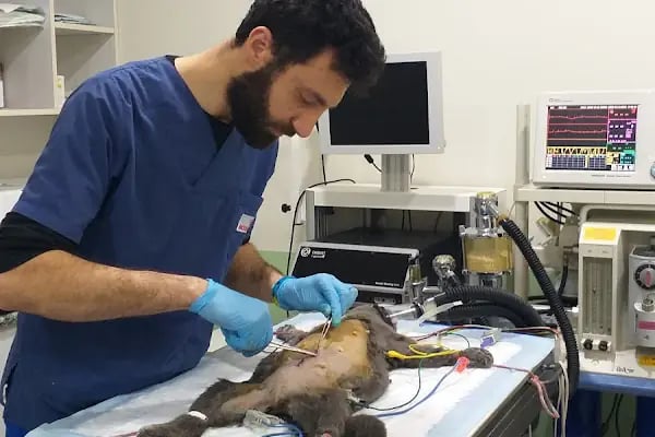 Vet-Ce Veteriner Kliniği - Resim 20