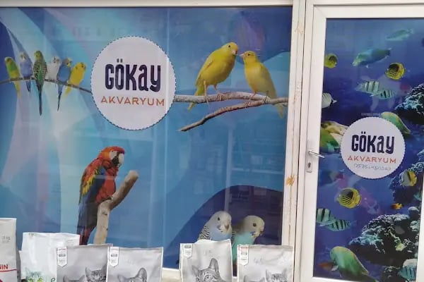 Gökay Akvaryum - Resim 14