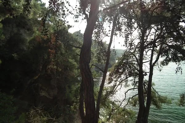 Büyükada Zabıta Müdürlüğü - Resim 19