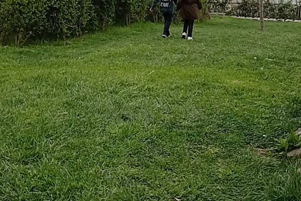 Küçükçekmece Belediyesi Macera Parkı - Resim 8