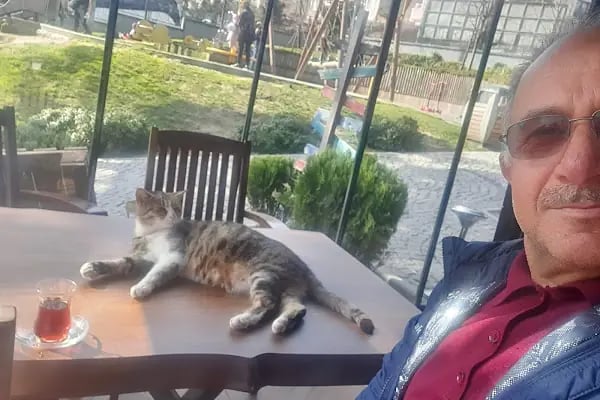 Küçükçekmece Belediyesi Macera Parkı - Resim 15
