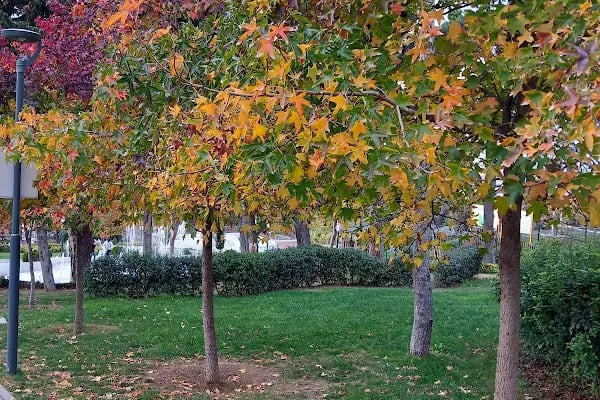 Küçükçekmece Belediyesi Macera Parkı - Resim 14