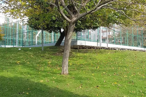 Bornova Belediyesi Atatürk Spor Kompleksi - Resim 15
