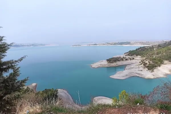 Karadenizliler Ormanı - Resim 5