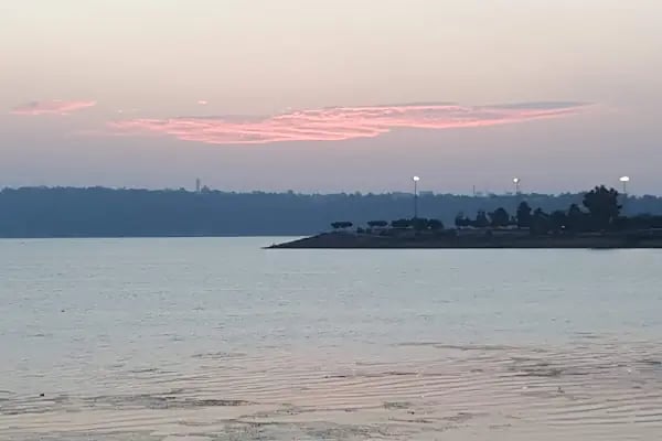 Karadenizliler Ormanı - Resim 8