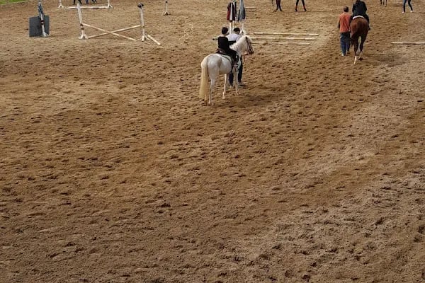 Karadenizliler Ormanı - Resim 6