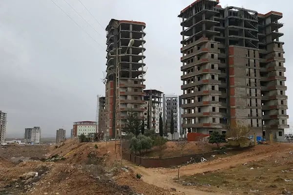 Karadenizliler Ormanı - Resim 15