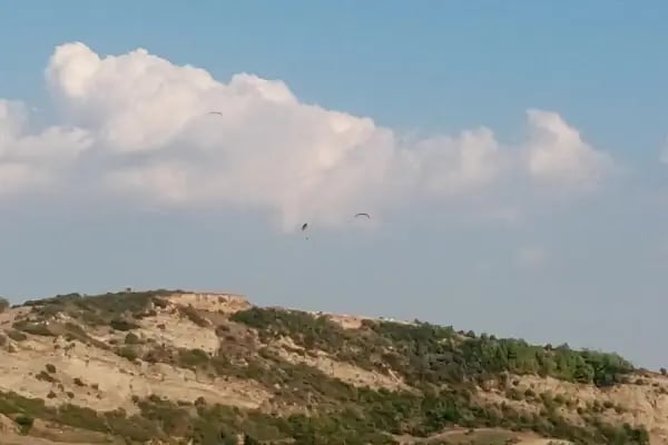 Karadenizliler Ormanı - Resim 20