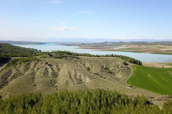 Karadenizliler Ormanı - Resim 14