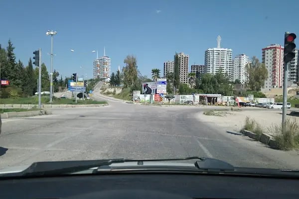Karadenizliler Ormanı - Resim 18
