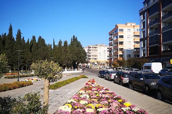 Atabarı İzmir Src Ody Üdy &amp; Öz Gaziemir Sürücü Kursu - Resim 18