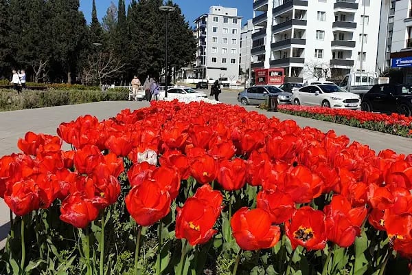 Atabarı İzmir Src Ody Üdy &amp; Öz Gaziemir Sürücü Kursu - Resim 17