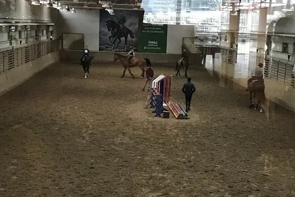 Sipahi Ocağı Binicilik Kulübü - Resim 3