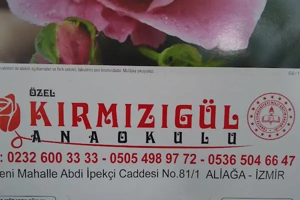 Özel Kırmızıgül Anaokulu - Resim 4