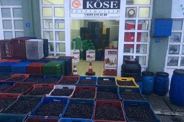 Köse Zeytincilik - Resim 1