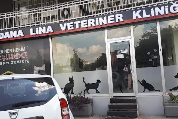 ADANA LiNA VETERİNER KLİNİĞİ - Resim 5
