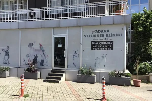 ADANA LiNA VETERİNER KLİNİĞİ - Resim 1