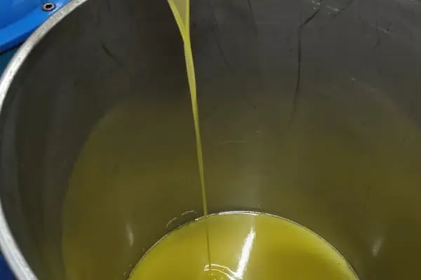 İslamhaneleri Zeytin Sıkma Fabrikası - Resim 3