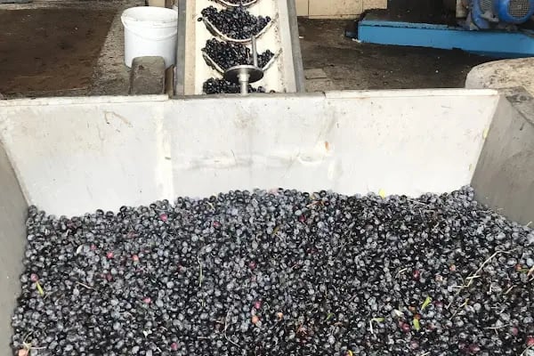 İslamhaneleri Zeytin Sıkma Fabrikası - Resim 4