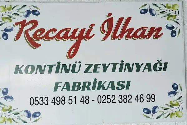 İslamhaneleri Zeytin Sıkma Fabrikası - Resim 2