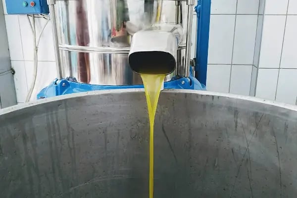 İslamhaneleri Zeytin Sıkma Fabrikası - Resim 12