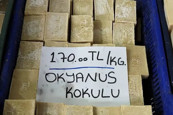 İslamhaneleri Zeytin Sıkma Fabrikası - Resim 14