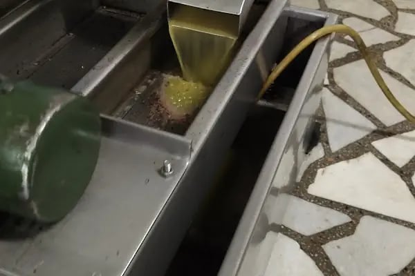 İslamhaneleri Zeytin Sıkma Fabrikası - Resim 7