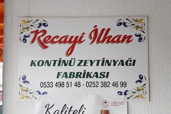 İslamhaneleri Zeytin Sıkma Fabrikası - Resim 19