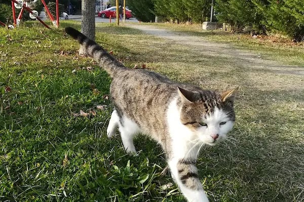 Sakarya Üniversitesi Mühendislik Fakültesi M7 Binası - Makine Mühendisliği Bölümü - Metalurji Ve Malzeme Mühendisliği Bölümü - Resim 7