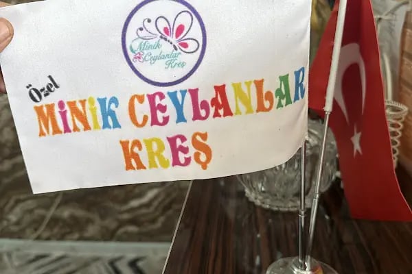 Özel Minik Ceylanlar Kreş ve Gündüz Bakım Evi - Resim 9