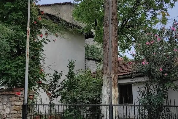 Bayraklı Dede Türbesi - Resim 4