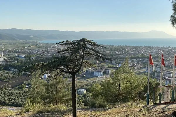 Bayraklı Dede Türbesi - Resim 3