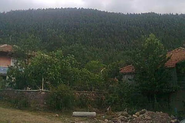 Çamlıdere yaylası Merkez camii - Resim 9