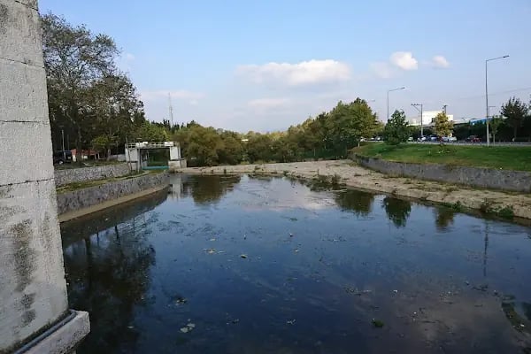 Atatürk Spor Kompleksi Matlı Stadyumu Timsah Arena - Resim 19