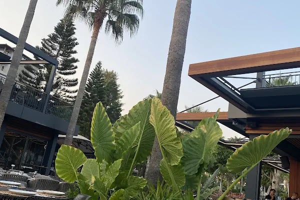Green Beach Restaurant - Resim 14