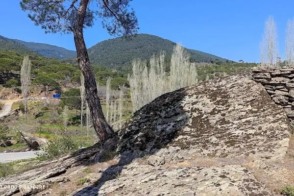 Bozdoğan Doğa Koruma Alanı - Resim 5