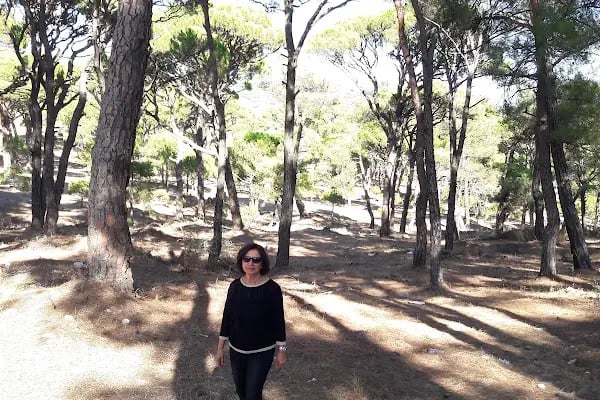 Bozdoğan Doğa Koruma Alanı - Resim 14