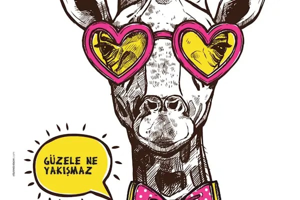 Gören Optik - Resim 9