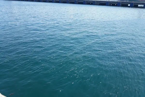 Akçansa Aliağa Terminali - Resim 13