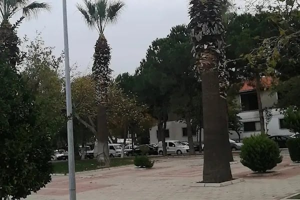 Tuzu Biberi Aliağa - Resim 12