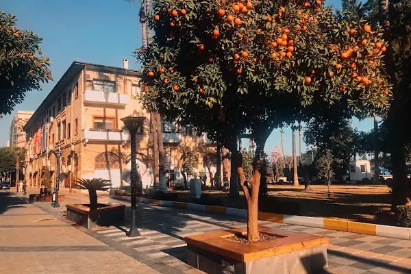 Mersin Büyükşehir Belediyesi - Resim 15